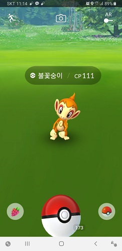  포켓몬고 불꽃숭이 커뮤니티데이 결산(갸라르 또도가스는 덤)