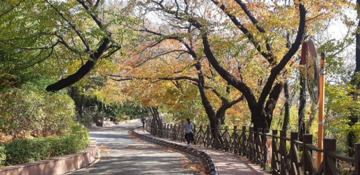 늦가을의 인천 수봉공원