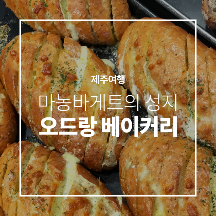 [제주여행] 제주빵집추천 마농바게트의 성지 오드랑베이커리