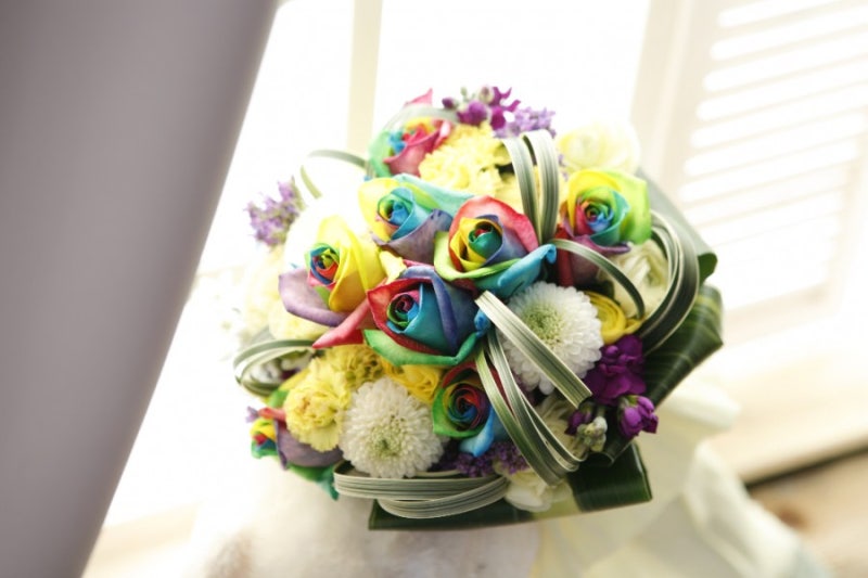 진짜 예쁜 무지개 꽃