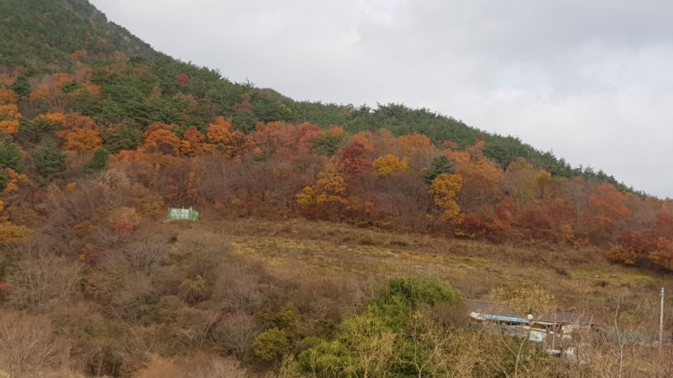  멀어져가는 가을을 붙잡고
