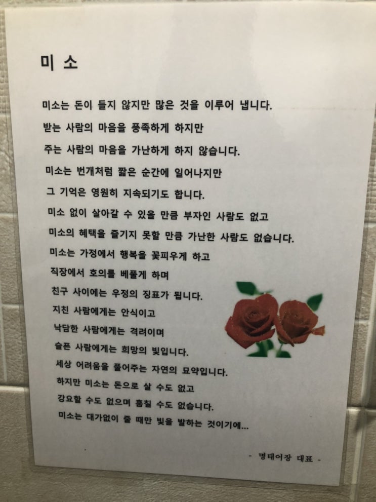  에세이는 읽는 것만으로도 힐링이 되어서 많이들 보실 텐데요. 특히 기억에 남는 에세이가 있으신가요?