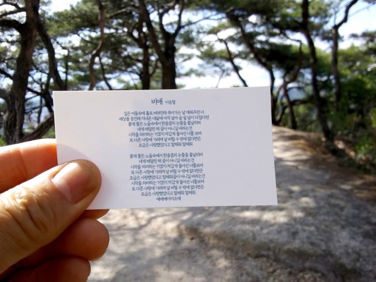  비애 - 이승철