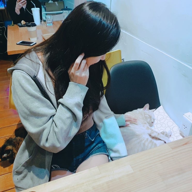  대만 가오슝 마사지 Cat Café And Massage 고양이가 귀여워요