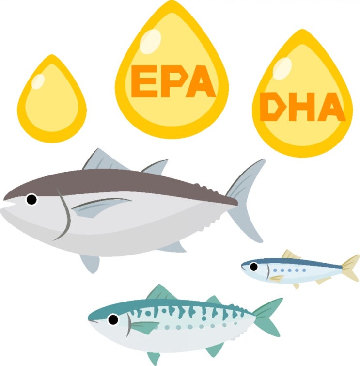 피쉬오일(FishOil), 크릴오일(KrillOil) 외에 EPA & DHA 공급원에 대해 알아야할 사항