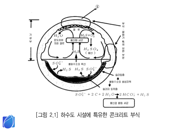 황화수소, 하수관거 부식보다 더 무서운 건 냄새..! 센텍 꿀팁