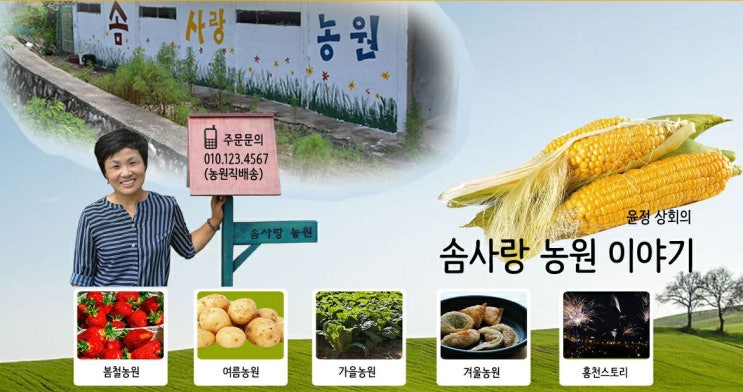  발목 고관절 통증 건망증 발가락무감각증까지 해결한 정향인님 24hrs사용후기
