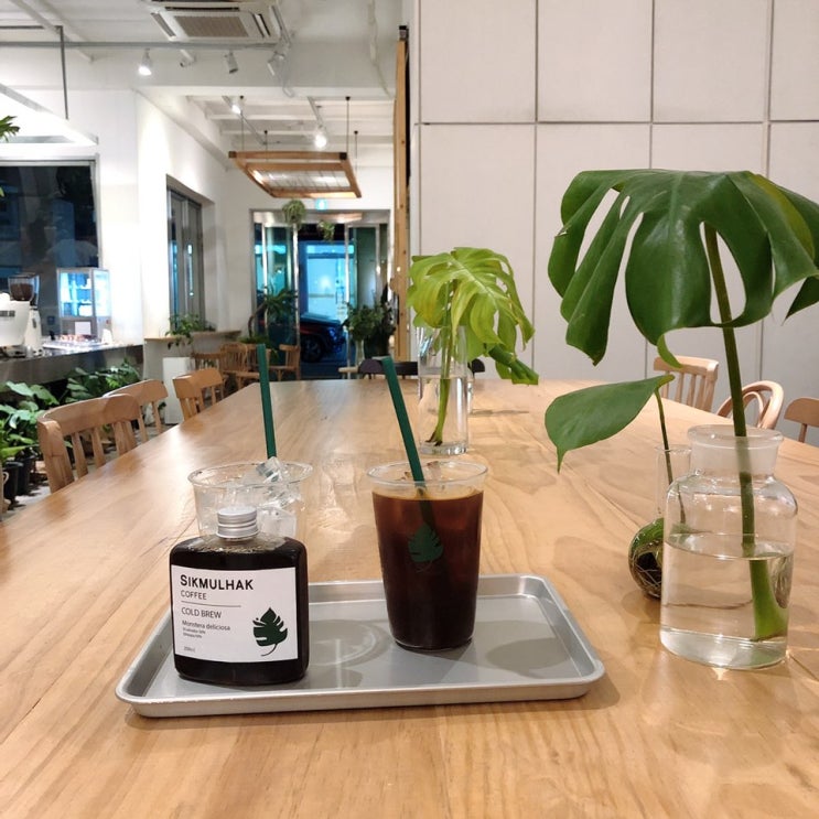 [신사동 카페] 신사역 가로수길 커피가 맛있는 식물원  분위기 맛집 ' 식물학'