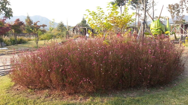 양천구, 다락골 약수터~신안약수아파트 ‘계남공원 무장애 숲길’ 조성 양천구, 다락골 약수터~신안약수아파트 ‘계남공원 무장애 숲길’ 조성