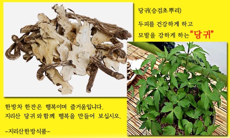  당귀의 효능.여성에게 좋은 한방차
