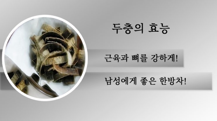  두충의 효능 . 뼈와 근육을  강하게