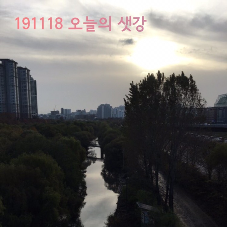  월요일