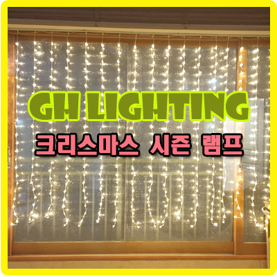크리스마스 조명~드디어 델꼬 왔네요~!! 크리스마스 조명~드디어 델꼬 왔네요~!!