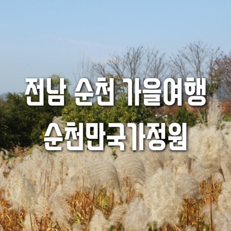  가을여행 대한민국 제1호 순천만국가정원 다녀왔어요