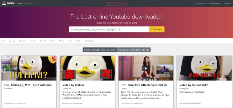  이태리장인의 다이어리 : Pornhub의 프리미엄 영상 다운로드가 막혔을때