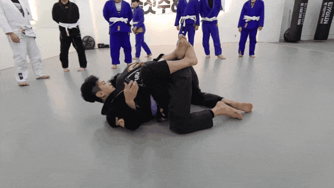 화정동킥복싱, 주짓수를 한번에!! 화정동킥복싱, 주짓수를 한번에!!