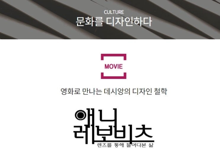  데시앙 브랜드 애니 레보비츠 무료상영