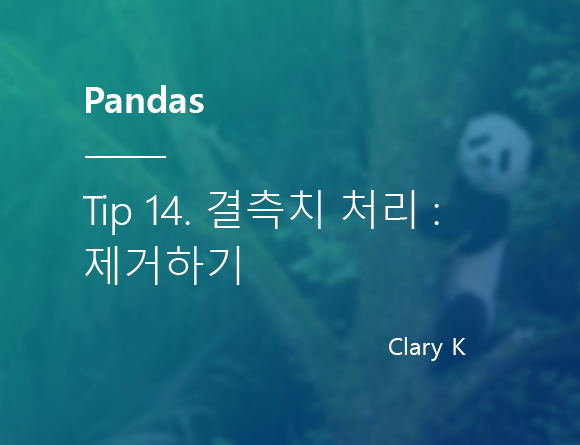 [파이썬] 판다스(pandas) 팁14. 결측치 처리 : 제거하기/삭제하기(Deletion)