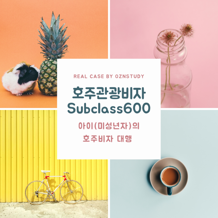  아이의 호주관광비자Subclass 600 대행