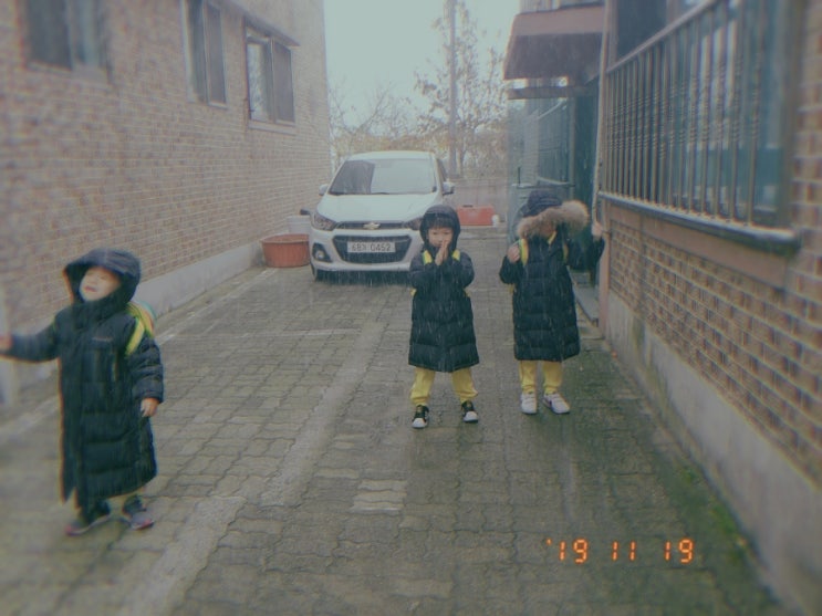  [첫 눈] 이라고 하기엔 애매한 싸락눈,함박눈아 와다오