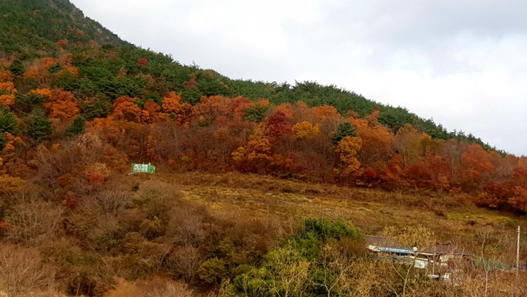  경주덕동댐 끝나는곳에서 황룡골로접어들다