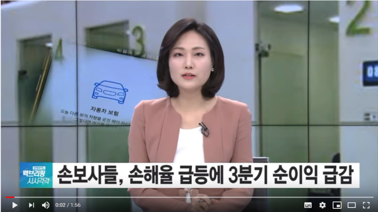 실손·車보험 팔수록 손해…손보사 3분기 순익 28% 감소 실손·車보험 팔수록 손해…손보사 3분기 순익 28% 감소