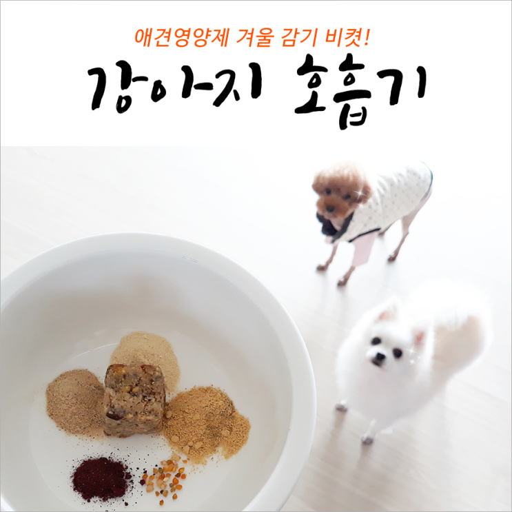  강아지호흡기영양제 겨울 감기 비켯!