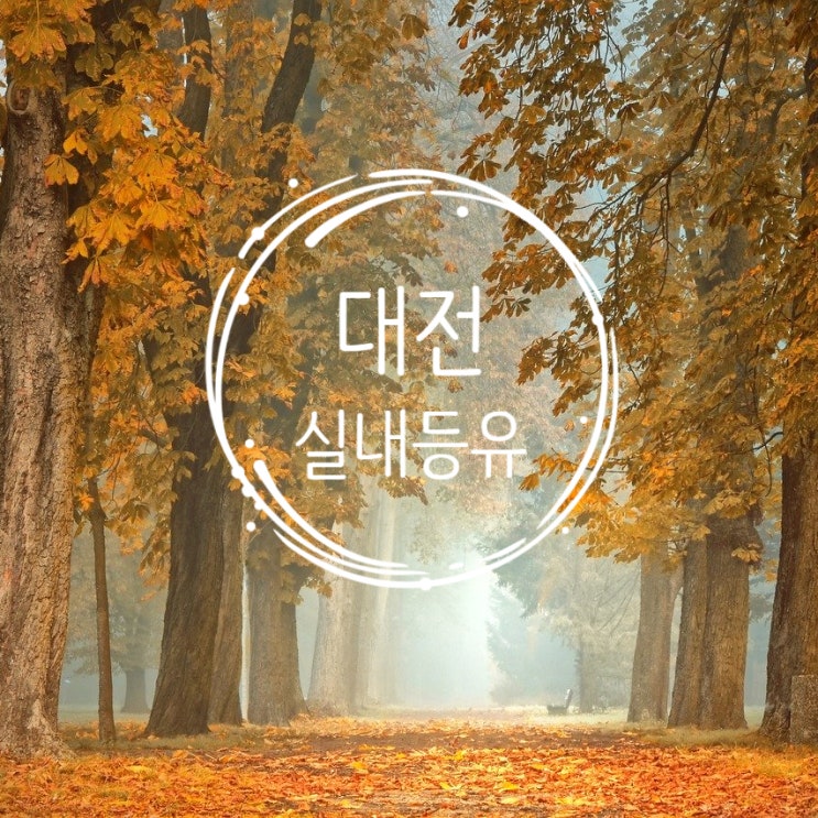  실내등유 필요하십니까?
