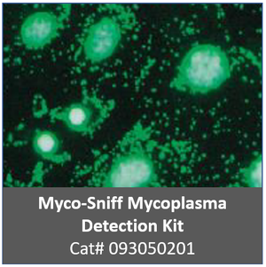 [메뉴얼] Myco-Sniff Mycoplasma PCR Detection Kit