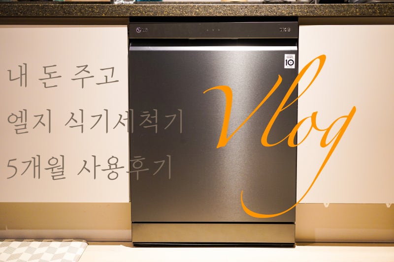 Vlog) 내 돈 주고 산 엘지 디오스 식기세척기 5개월 사용 비교 후기 DFB22M vs 삼성 식기세척기 ....