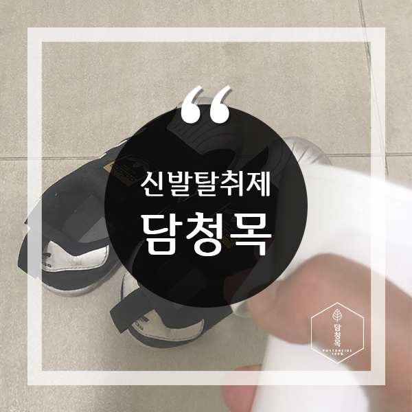  신발냄새제거에 좋은 신발탈취제 '담청목'