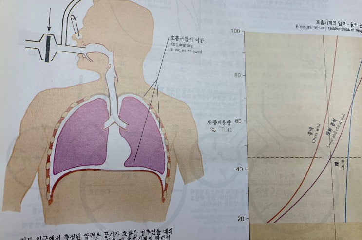 오래가는기침, 환절기에 심한 알레르기 원인