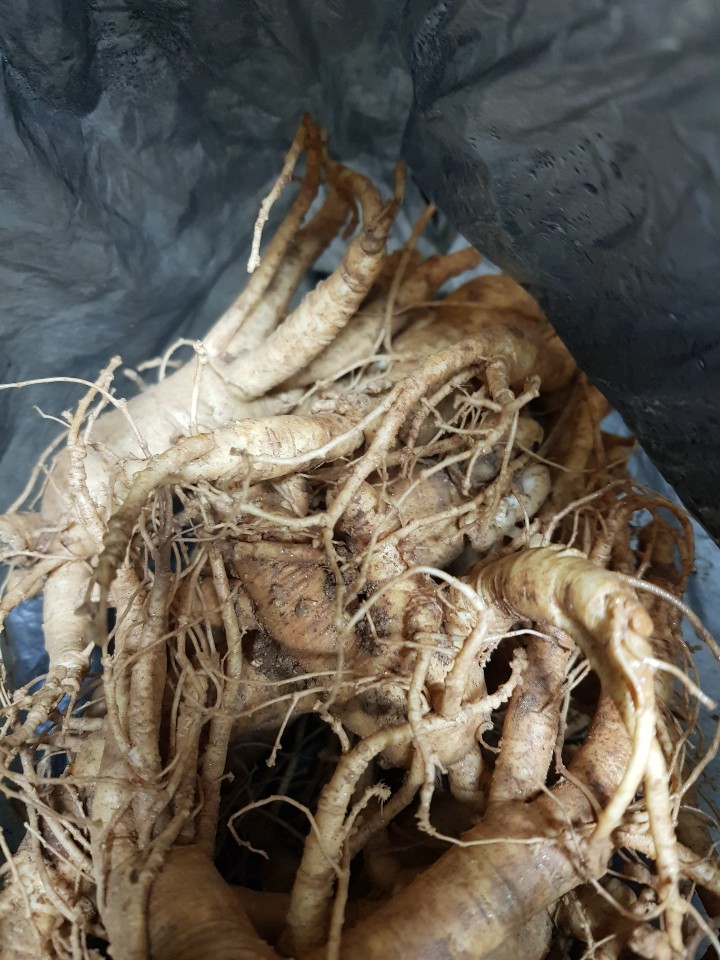  경상도 음식 맛내기 노하우