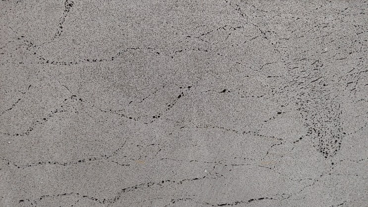 현무암 판재 개미굴 이미지 형태