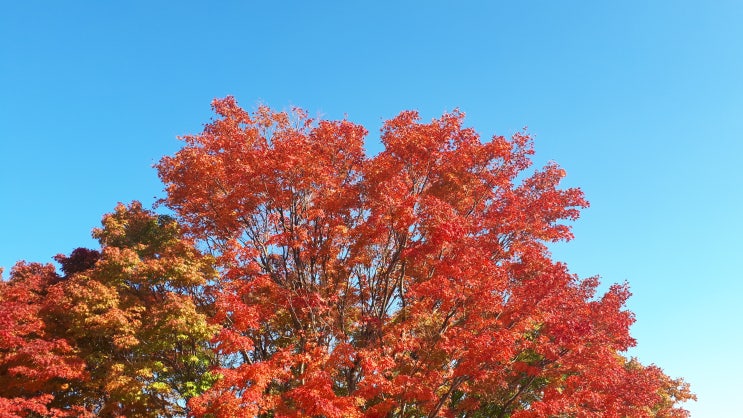  가을의 정취를 잔뜩 느낀 토함산 산책