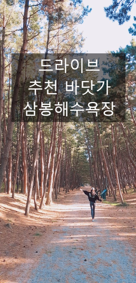  자동차 드라이브 추천 바닷가 태안 삼봉해수욕장