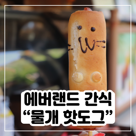 에버랜드에서 간식 먹어봤어요 (물개 핫도그, 츄러스) 에버랜드에서 간식 먹어봤어요 (물개 핫도그, 츄러스)