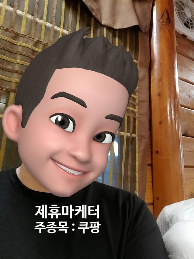   쿠팡파트너스 마케터의   데이터사이언스 입문반 수료 후기 (DS SCHOOL)