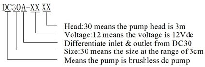 DC30A-1230 12V DC 2 Phase Brushless Water Pump Waterproof Submersible DC30A-1230 12V DC 2 Phase Brushless Water Pump Waterproof Submersible