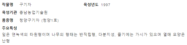  구기자 - 품종명: 청양1호