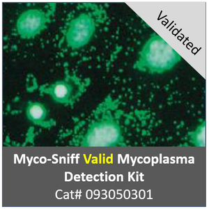 [메뉴얼] Myco-Sniff Valid Mycoplasma PCR Detection Kit
