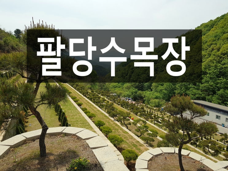  팔당수목장 위치적으로 너무나 인기있는곳.