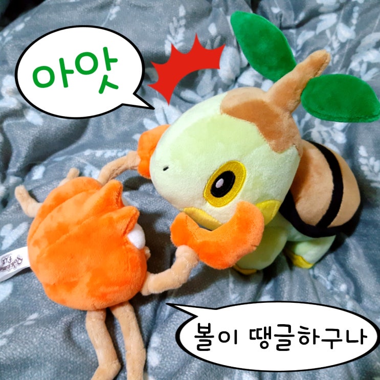  이 세상에서 제일 귀여운 포켓몬 투톱이 왔어요