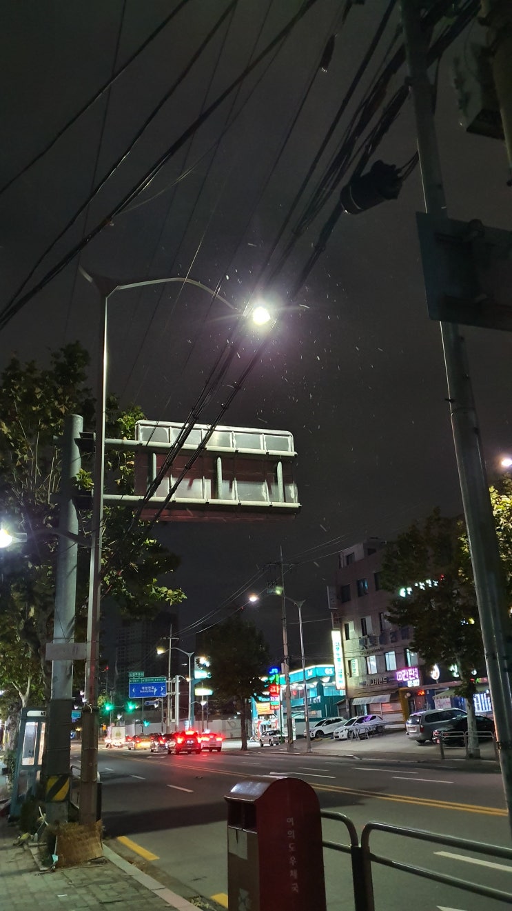  첫눈