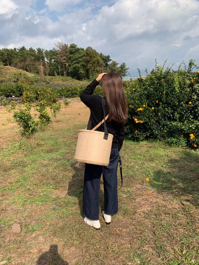 20191104 :: 제주도 2박3일 뚜벅이 여행 ① (서귀포 구들민박감귤체험, 외돌개, 올레시장) : 네이버 블로그