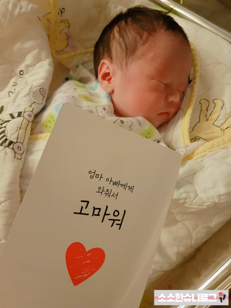  생후1일~생후10일, 슈니 자람