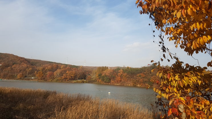  “고기동 도시개발사업” 무엇이 문제인가? [Ⅴ]