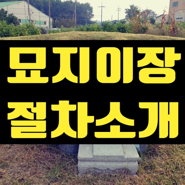  묘지이장 절차소개 및 사례