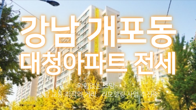  개포동 대청 아파트 전세 , 삼익대청아파트 전세문의는 ~