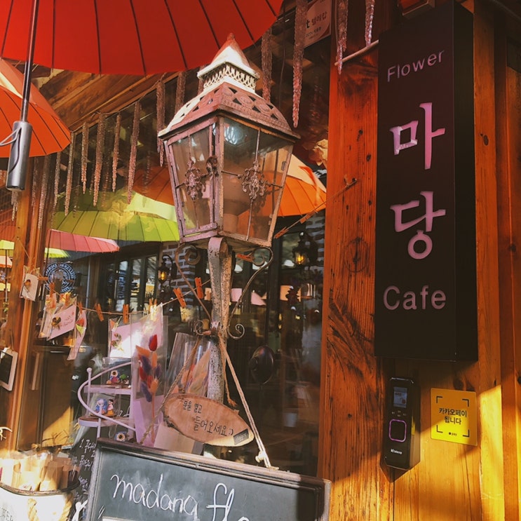 [서울] 익선동 한옥구조의 예쁜카페 마당플라워카페